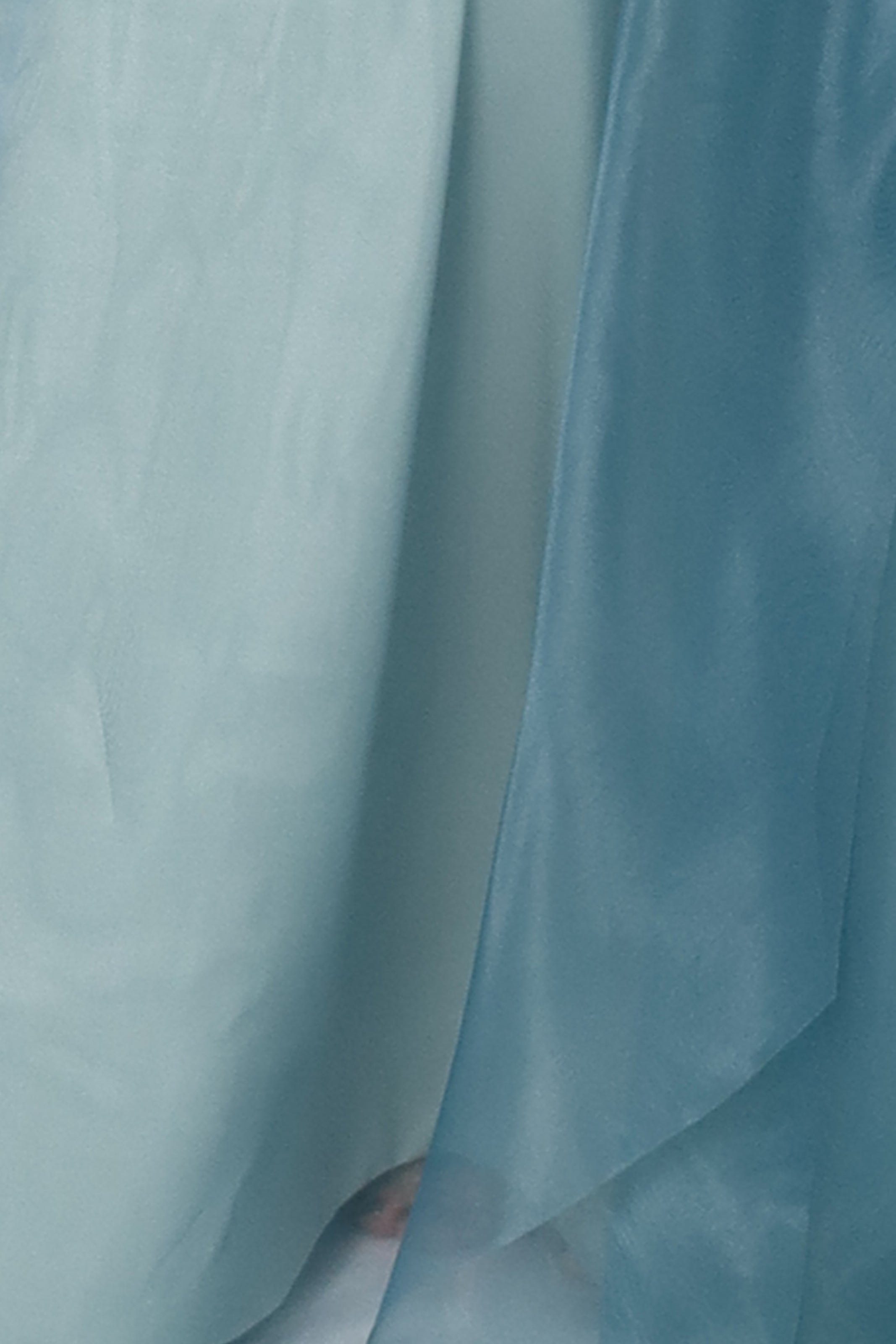 V-Neck Organza A-Line Gown Gown Rene Ruiz Collection