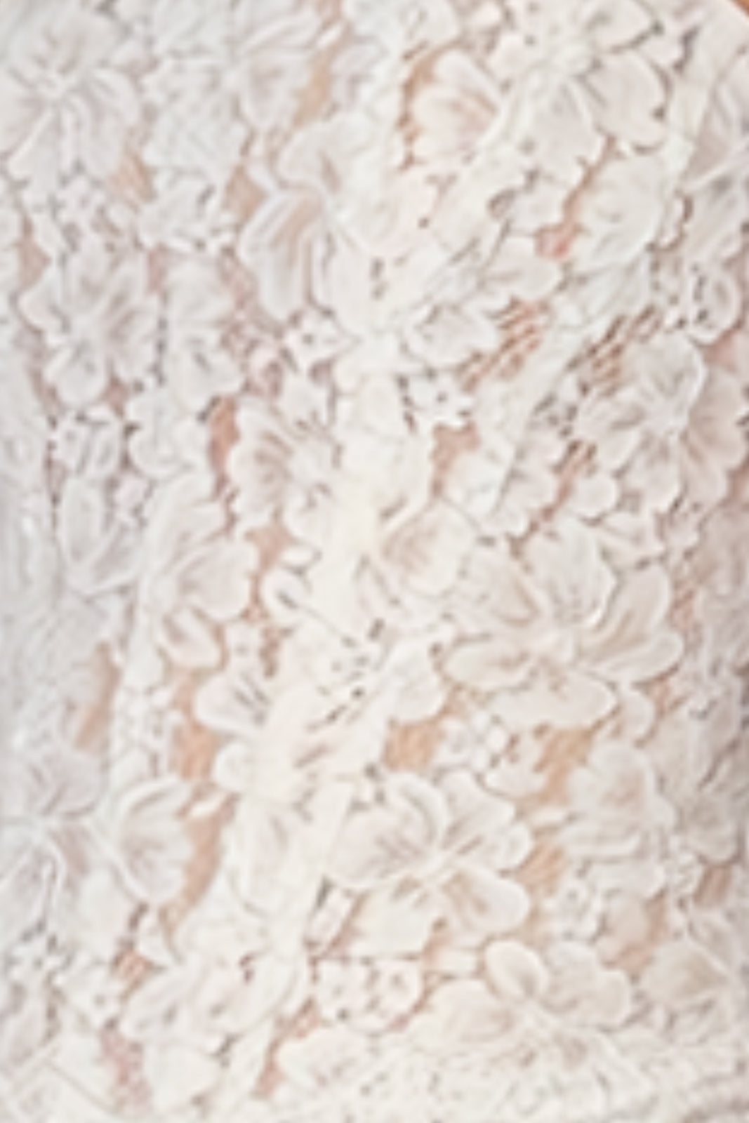 Strapless Lace Bustier