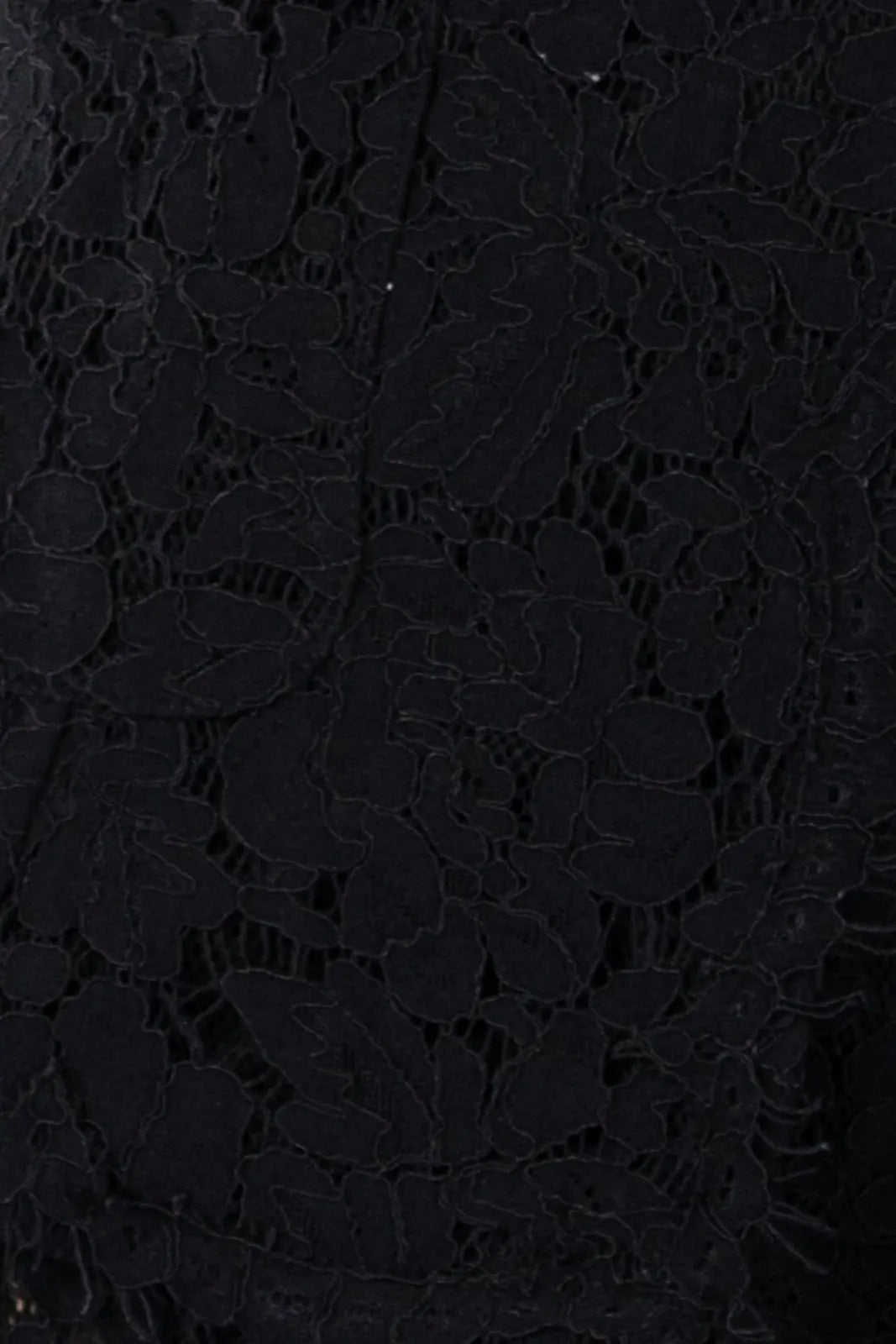 Lace Jacket Jacket Rene Ruiz Collection