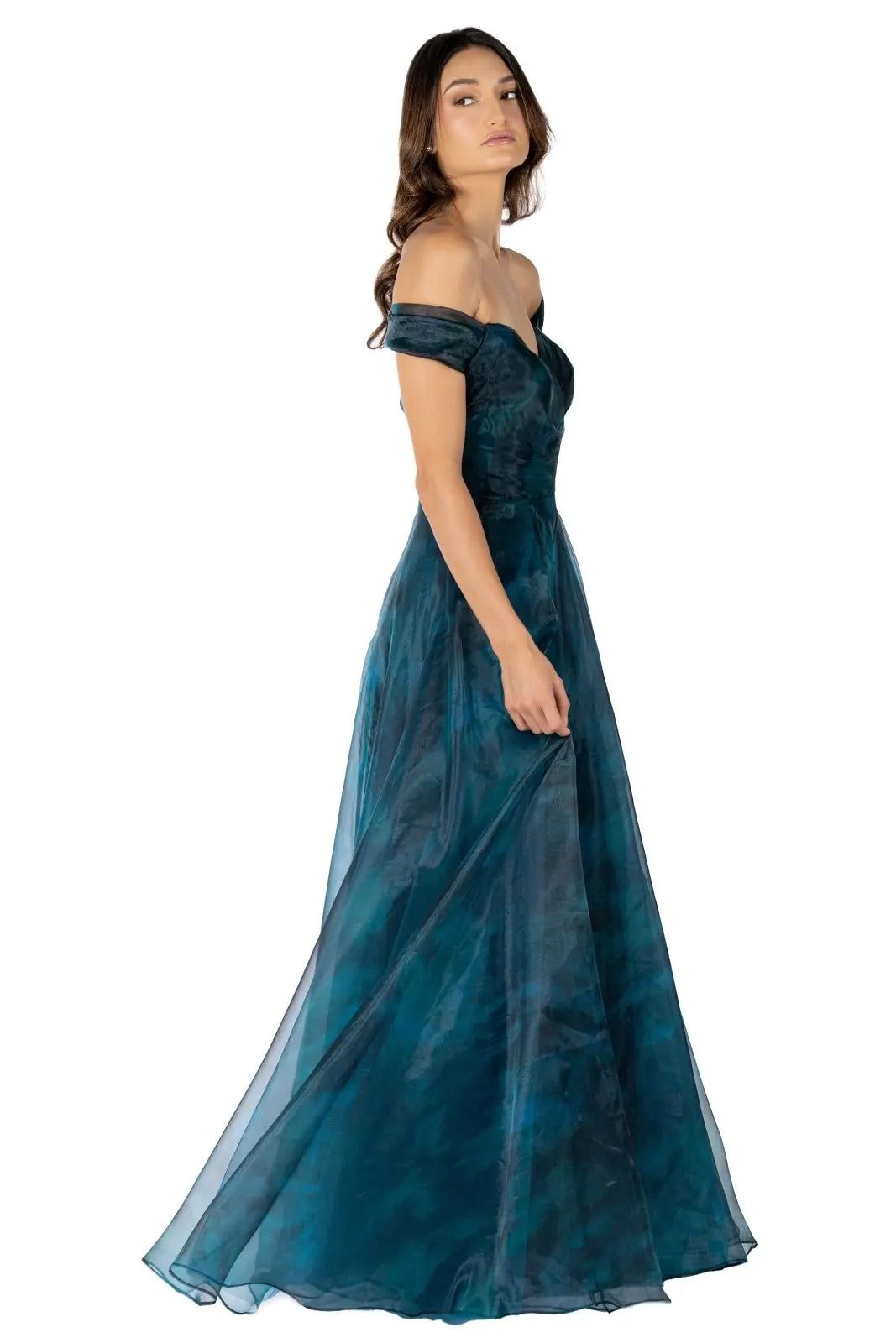Organza Print A-Line Gown  